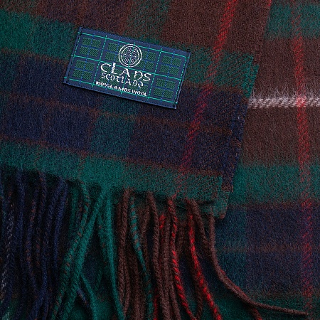 картинка Clans of Scotland Fraser Hunting от магазина  Mykilt